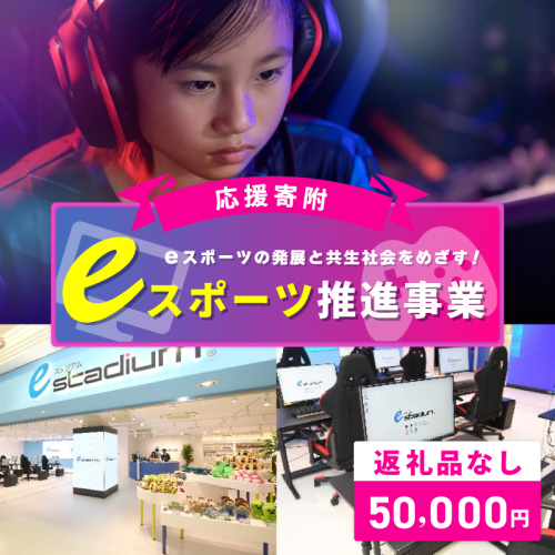 【返礼品なし】eスポーツの発展と共生社会の実現をめざす！eスポーツ推進応援寄附（大阪府泉佐野市） ON0014 2549004 - 大阪府泉佐野市