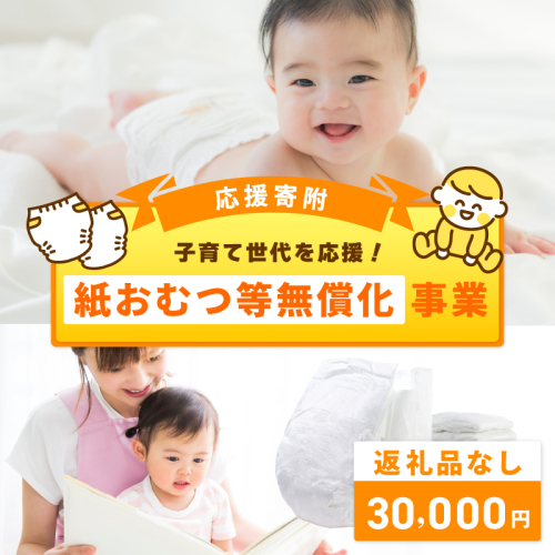 【返礼品なし】子育て世代を応援！紙おむつ等無償化応援寄附（大阪府泉佐野市）　 ON0018 2549008 - 大阪府泉佐野市