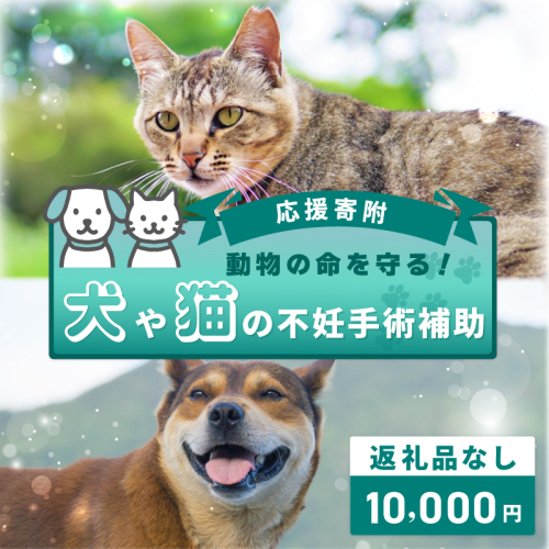 【返礼品なし】動物の命を守る！犬や猫の不妊手術補助 応援寄附（大阪府泉佐野市）　 ON0027 2549017 - 大阪府泉佐野市