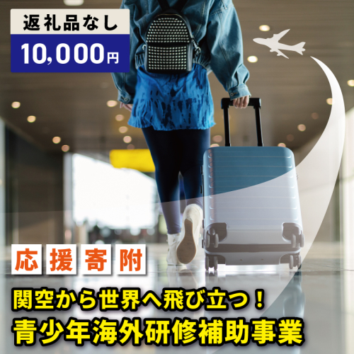 【返礼品なし】関空から世界へ飛び立つ！青少年海外研修補助応援寄附（大阪府泉佐野市） ON0032 2549022 - 大阪府泉佐野市