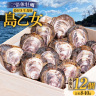 殻付き牡蠣 生食用 三倍体牡蠣 島乙女 約840g 12個入 [カネキ水産 宮城県 気仙沼市 20565985] 牡蠣 期間限定 冷蔵 新鮮 濃厚 カキ かき 生牡蠣 魚貝類 貝 海鮮 魚介類 なべ カキフライ 牡蠣ご飯 魚介