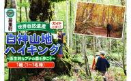 ガイドと歩く世界自然遺産・白神山地ハイキング ～ 原生的なブナの森を歩こう（1組：1～7名様分） [世界自然遺産 白神山地 ブナの森で森林浴 ガイド付きハイキング体験]