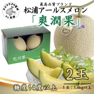 【B4-012】松浦アールスメロン最高品質ブランド「爽潤果」2玉  メロン アールスメロン 果実の王様 甘い 糖度14度以上