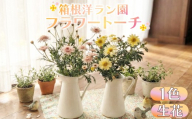 フラワートーチ mini サイズ マーガレット お花 プレゼント 贈答用 お祝い ギフト 箱根洋ラン園 静岡県 三島市