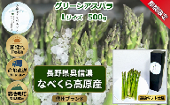 【期間限定】アスパラガス みゆきアスペルジュ Lサイズ 500g入り(12〜14本)《出荷時期：2026年5月中旬頃〜》株式会社ForestDoor｜長野県 飯山市 信州 新鮮 直送 独自栽培 甘さ 高級 ギフト  (Ce-002)