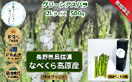 【期間限定】アスパラガス みゆきアスペルジュ 2Lサイズ 500g入り(8〜9本)《出荷時期：2026年5月中旬頃〜》株式会社ForestDoor｜長野県 飯山市 信州 新鮮 直送 独自栽培 甘さ 高級 ギフト  (Ce-003)