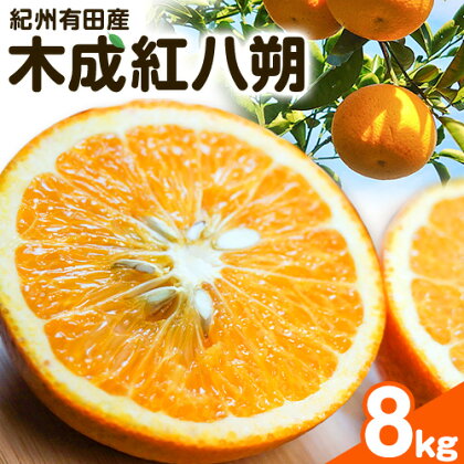 【先行予約】紀州和歌山産 木成紅八朔 8kg 株式会社魚鶴商店(大鶴商店)《2月下旬-3月中旬頃出荷》和歌山県 日高町 紀州和歌山産 木成紅八朔 はっさく ハッサク 八朔 紅八朔 柑橘 果物 フルーツ 2549335 - 和歌山県日高町