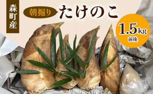 【3月下旬より順次発送】森町産朝掘りたけのこ1.5kg前後 たけのこ 筍 タケノコ 春の味覚 こだわり 朝堀り 当日出荷 かぐや姫 甘い 静岡県 森町 2026 2549736 - 静岡県森町