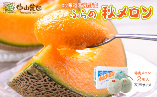 テレビで紹介されました！【2026年秋発送】北海道 富良野産 赤肉 秋メロン 2玉 計3.2kg以上 大玉サイズ メロン 2549739 - 北海道富良野市