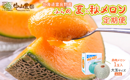 【2026年7～9月 全2回】計2回 ふらの 夏× 秋メロン 定期便 ≪計2玉≫ 北海道 富良野市 (中山農園) メロン フルーツ 果物  2549740 - 北海道富良野市