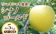 【家庭用】りんご シナノゴールド 約5kg【2026年4月下旬まで順次発送】スマートフレッシュ｜ 林檎｜リンゴ｜12～20玉｜フルーツ｜果物｜長野県｜南信州｜豊丘村
