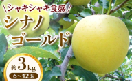 【家庭用】りんご シナノゴールド 約3kg【2026年4月下旬まで順次発送】スマートフレッシュ｜ 林檎｜リンゴ｜6～12玉｜フルーツ｜果物｜長野県｜南信州｜豊丘村