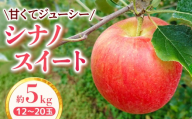 【家庭用】りんご シナノスイート 約5kg【2026年4月下旬まで順次発送】スマートフレッシュ｜ 林檎｜リンゴ｜12～20玉｜フルーツ｜果物｜長野県｜南信州｜豊丘村
