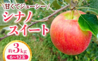 【家庭用】りんご シナノスイート 約3kg【2026年4月下旬まで順次発送】スマートフレッシュ｜ 林檎｜リンゴ｜6～12玉｜フルーツ｜果物｜長野県｜南信州｜豊丘村