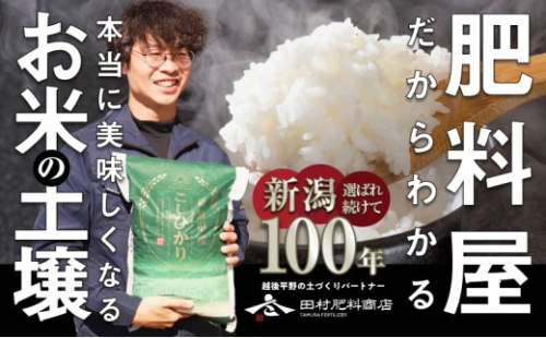 【令和8年産】 新潟県産 コシヒカリ 5kg 新米 米 お米 白米 こしひかり 新潟県 新潟市 産直 送料無料 2549852 - 新潟県新潟市