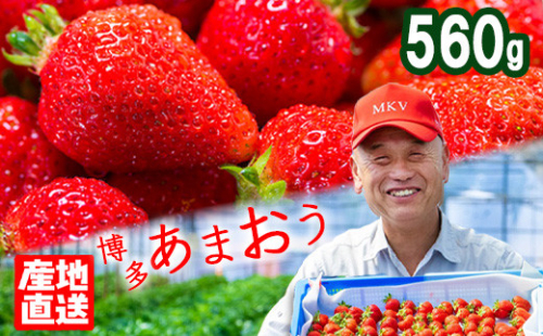 産地直送 減農薬栽培 あまおう 2パック(約280g×2) 254986 - 福岡県小郡市