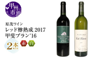 原茂ワイン 甲斐ブラン'16 ハラモレッド樽熟成2017 2本セット（MG）B16-656【ワイン 原茂ワイン 赤ワイン 白ワイン 甲州市 山梨県】