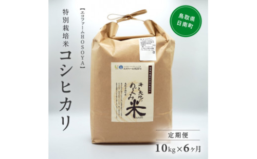 [№5667-0285]【6カ月連続お届け】新米 令和6年産 海と天地のめぐみ米（コシヒカリ） 白米10kg 255034 - 鳥取県日南町