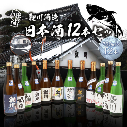 鯉川酒造 日本酒 720ml×12本セット 飲み比べ 大容量 地酒 山形産原料 1725年創業（享保10年） 老舗酒蔵 山形 庄内町 2550398 - 山形県庄内町