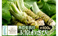 ぬまたブランド農産物 玉原わさび 生ワサビ 約100g [生わさび 生ワサビ 生山葵 本わさび 本ワサビ 本山葵]