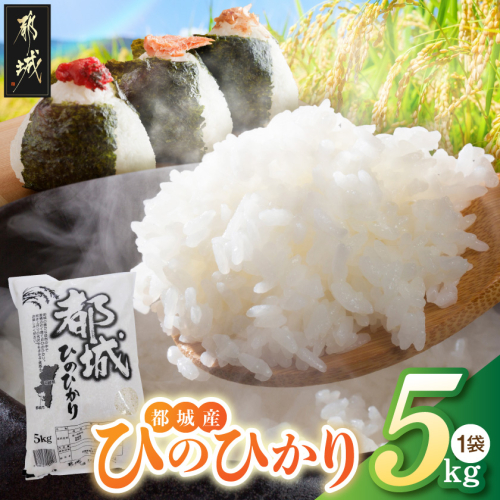 都城産のお米「ひのひかり」5kg_MJ-22-002-5kg 2550900 - 宮崎県都城市
