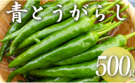 [冷凍]三原村産 大きな青唐辛子"大紅" 500g 長さ8〜15㎝!