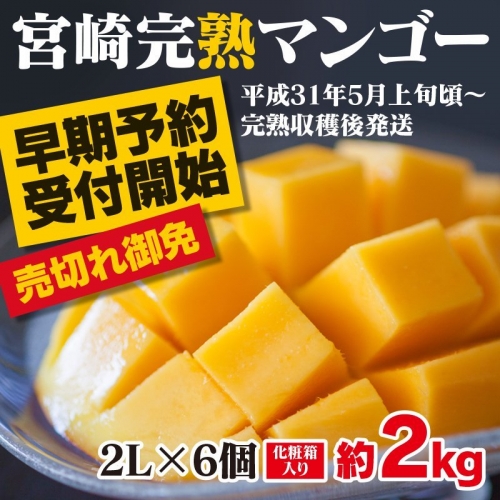【予約受付】みやざき完熟マンゴー<中玉2Lサイズ 6個(約2キロ)>※平成31年5月上旬から順次出荷予定【D30】