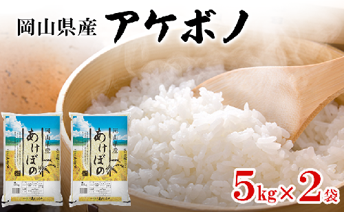 岡山県産 アケボノ 5kg×2袋(計10kg) 米 お米 コメ 白米 精米 国産 岡山 瀬戸内市 2551004 - 岡山県瀬戸内市