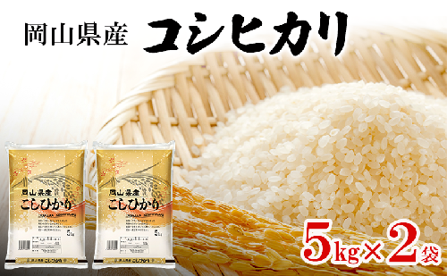 岡山県産 コシヒカリ 5kg×2袋(計10kg) 米 お米 コメ 白米 精米 国産 岡山 瀬戸内市 2551005 - 岡山県瀬戸内市