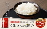 【 6ヶ月定期便 】 くまもとのブランド米 くまさんの輝き 10kg（5kg×2個）×全6回 お米 米 こめ コメ 飯 ご飯 白米 白飯 熊本県産 国産 定期 定期便 ブランド米