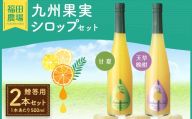 【 贈答用 】 九州果実シロップ 2本セット （ 甘夏 、 天草晩柑 ） 贈答品 プレゼント シロップ フルーツシロップセット フルーツシロップ フルーツ くだもの 果物 ギフト