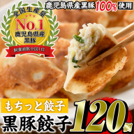 No.429-m 鹿児島黒豚使用の黒豚もちっと餃子(計120個・15個入り×8パック) 国産 九州産 鹿児島県産 餃子 ぎょうざ 冷凍 黒豚 豚肉 お肉 おかず 惣菜 小分け 【末永商店】