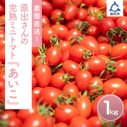 農園直送！原出さんの完熟ミニトマト（あいこ）1kg 2551695 - 和歌山県御坊市