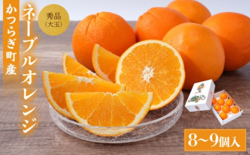 [先行予約] 和歌山県産ネーブル 約4kg　大玉（8個～9個）秀品 こだわり農家厳選 ［KG35］ 2551732 - 和歌山県那智勝浦町