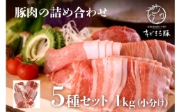 【ふるさと納税】【沖縄県ブランド豚】『キビまる豚』豚肉の詰め合わせ5種セット1kg（小分け）