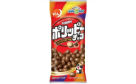 Ｅサイズ　ポリッピーチョコ　４０ｇ×１０袋　0019-2601