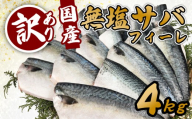 訳あり サバ 鯖 4kg バラ凍結 無塩 外湾漁業協同組合 国産サバ 国産鯖 無塩鯖 無塩サバ さば 簡単 保存 調理 焼き 簡易包装 わけあり 訳アリ 訳あり品 魚 魚介 海鮮 BBQ 加工品 国産 三重 南伊勢町 伊勢 志摩