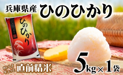 【７営業日以内発送】ヒノヒカリ 5kg 白米 令和７年産 【城口商店】米 お米 5kg 米5kg 兵庫県産 ひのひかり 令和7年産 R7年産 2025年産 精米 2552424 - 兵庫県西脇市