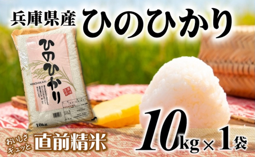 【７営業日以内発送】ヒノヒカリ 10kg 白米 令和７年産 【城口商店】米 お米 10kg 米10kg 兵庫県産 ひのひかり ヒノヒカリ 令和7年産 R7年産 2025年産 精米 2552426 - 兵庫県西脇市