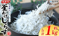 【2026年4月に順次発送】＜老舗網元 お家で楽しむ 業務用 釜あげしらす（合計約1kg）＞釜揚げ しらす シラス ちりめん じゃこ 海鮮 海産物 丼 おにぎり 具材 ご飯 おつまみ おやつ 小魚 乾物 国産 マルヨシ水産 特産品 愛媛県 西予市【冷凍】