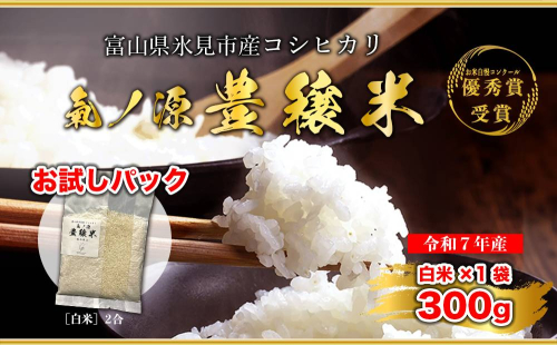 ＜ お試しサイズ ＞ 令和7年産 氷見産コシヒカリ 氣ノ源 豊穣米2合（ 白米 ） お米自慢コンクール優秀賞！ 精米 米 コシヒカリ 富山県産 富山県 氷見市 2553083 - 富山県氷見市