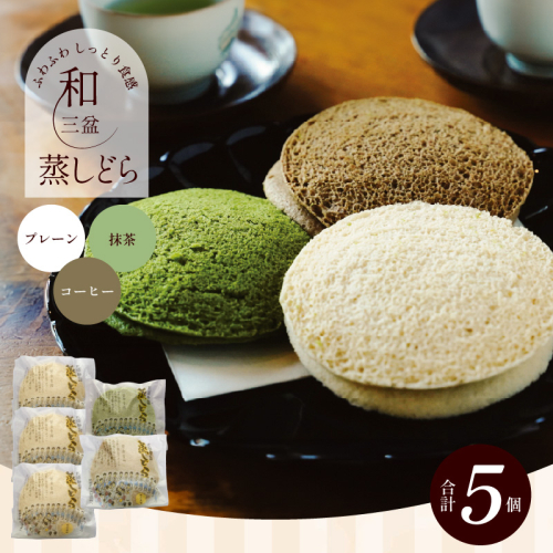 【蒸しどら3種 5個入 】和三盆 プレーン×3 抹茶×1 コーヒー×1 どら焼き 和菓子 餡 ふわふわ しっとり食感 あいちの匠 ものづくりマイスター 優秀和菓子職 愛知県優秀技能者表彰受賞 H181-009 2553085 - 愛知県碧南市