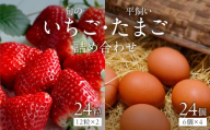 【2026年12月下旬～2027年5月発送予定】泉南市産 旬のいちごと平飼いたまごの詰め合わせ【配送不可地域：北海道・沖縄・離島】【015D-026-2027】