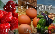 【2026年12月下旬～2027年5月発送予定】泉南市産　旬のいちご・平飼いたまご・旬野菜5品セット【配送不可地域：北海道・沖縄・離島】【015D-027-2027】