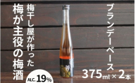 善〜ZEN〜 ブランデー梅酒 375ml×2本/アルコール分:19度 maruni033