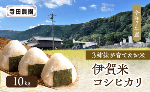 3姉妹が育てたお米　令和7年産　伊賀米コシヒカリ 10kg　3年連続 特A 米 こしひかり ご飯 ごはん 白米 精米 三重県 名張市 2553498 - 三重県名張市
