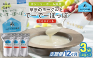 【定期12ヶ月】セミスイート 草原のヨーグルト でーでーぽっぽ 1kg ×3 【 ふるさと納税 人気 おすすめ ランキング 牛乳 ヨーグルト 生乳 濃厚 クリーミー 手作り 北海道 十勝 鹿追町 送料無料 】 SKB138
