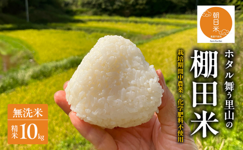 先行受付 農薬不使用 無洗米 ホタル舞う里山の棚田米 精米10kg 令和8年産 朝日2kg×5袋 2553680 - 岡山県赤磐市