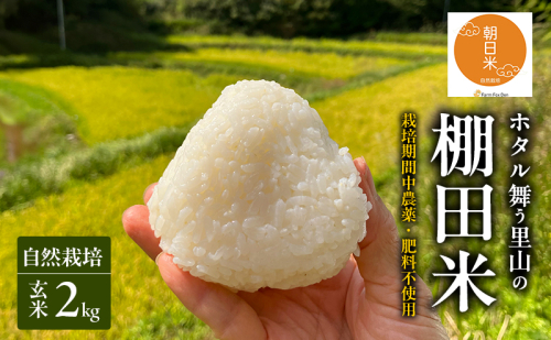 先行受付 自然栽培 農薬不使用 肥料不使用 ホタル舞う里山の棚田米 玄米2kg 令和8年産 朝日2kg×1袋 2553684 - 岡山県赤磐市