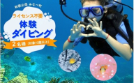 【ダイビング】ライセンス不要！感動の水中世界へ！サンマリン 体験ダイビング（2名様）  smr004